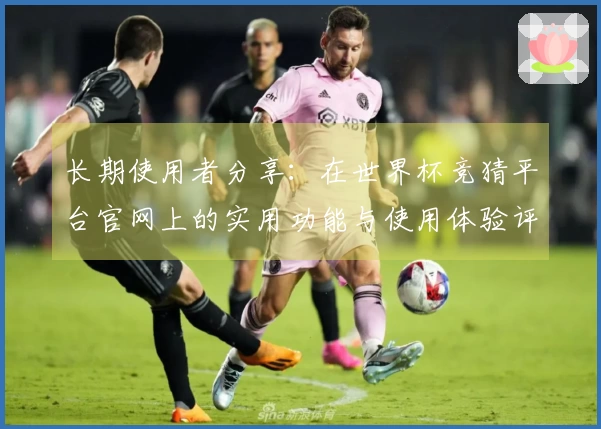 长期使用者分享：在世界杯竞猜平台官网上的实用功能与使用体验评测