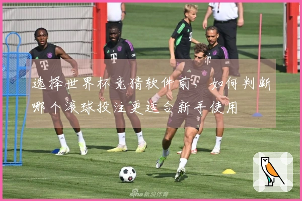 选择世界杯竞猜软件前，如何判断哪个滚球投注更适合新手使用