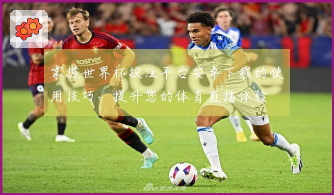 掌握世界杯投注平台安卓下载的使用技巧，提升您的体育直播体验
