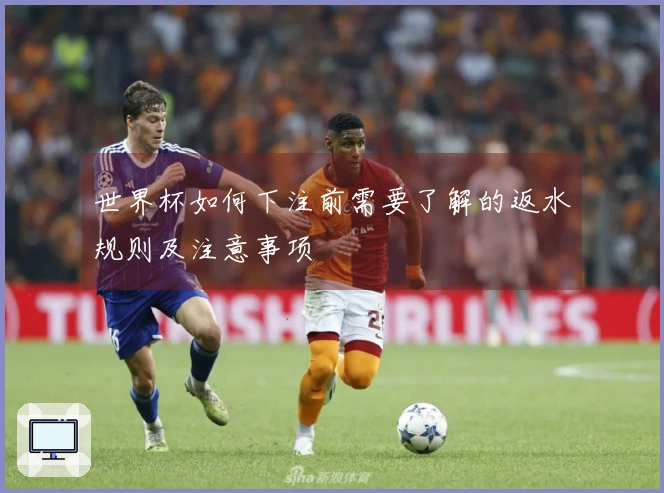 世界杯如何下注前需要了解的返水规则及注意事项