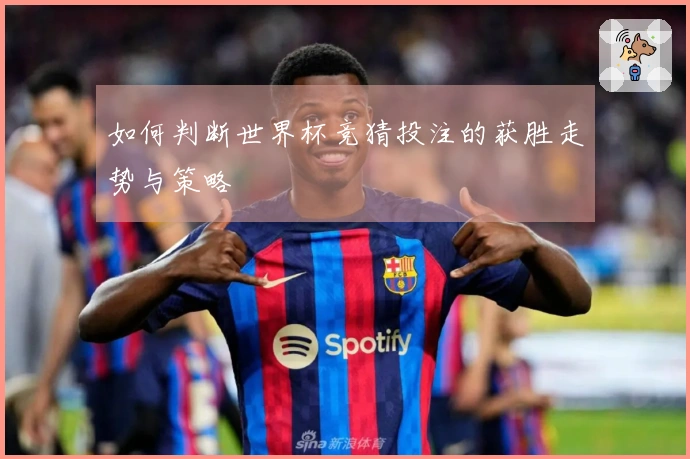 如何判断世界杯竞猜投注的获胜走势与策略