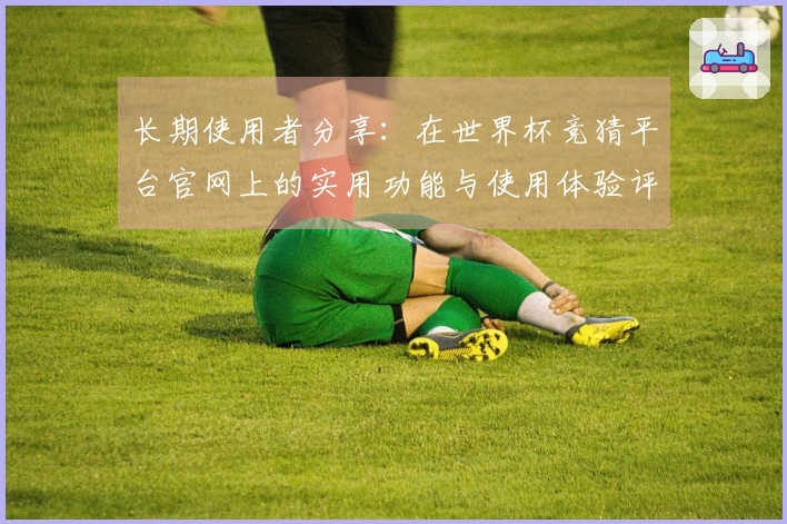 长期使用者分享：在世界杯竞猜平台官网上的实用功能与使用体验评测