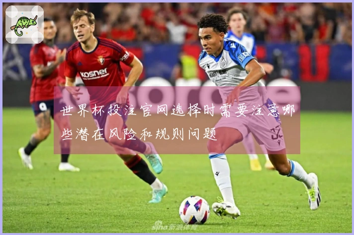 世界杯投注官网选择时需要注意哪些潜在风险和规则问题