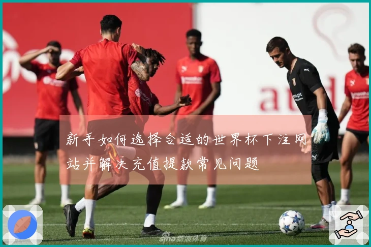 新手如何选择合适的世界杯下注网站并解决充值提款常见问题